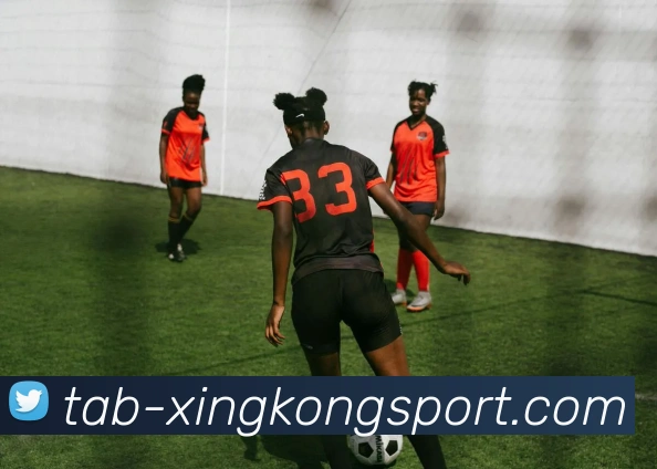 星空体育平台生态图